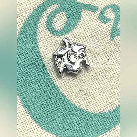 Origami Owl Living Lockets Retired HTF RN Floating Charm - Picture 2 of 2